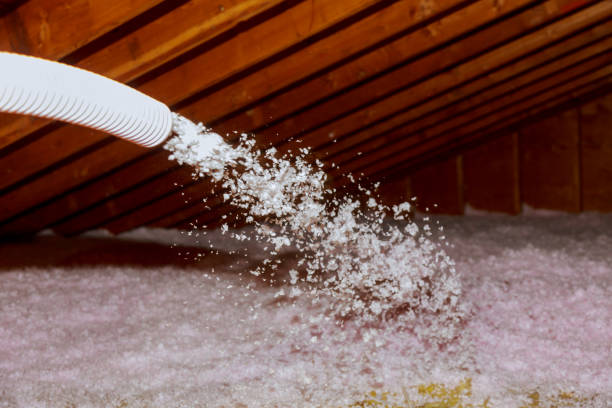 Best Home Insulation Services  in Salix, PA