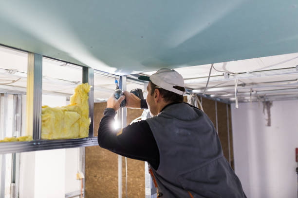 Best Fiberglass Insulation  in Salix, PA