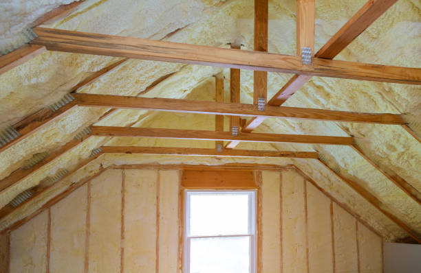 Best Energy-efficient Insulation  in Salix, PA
