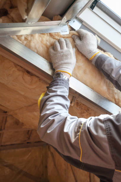 Best Spray Foam Insulation  in Salix, PA