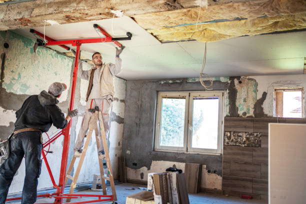 Best Cellulose Insulation  in Salix, PA