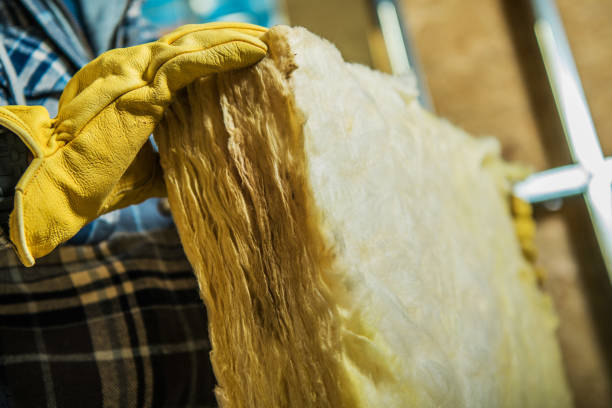 Best Attic Insulation Installation  in Salix, PA