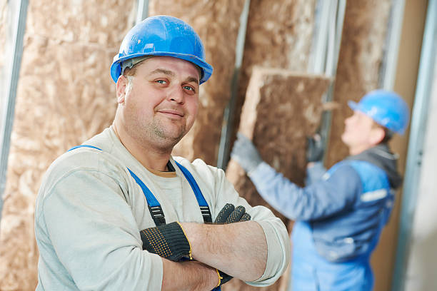 Best Insulation Removal  in Salix, PA